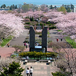 Mori Tourism Information