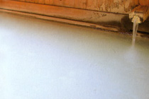 spa_iro2 spa_iro2