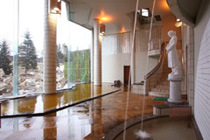 spa_iro3 spa_iro3