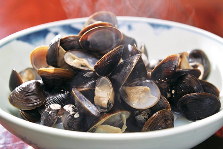 Freshwater clam
