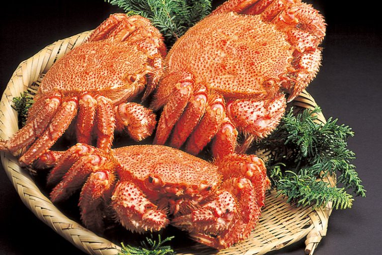 Horsehair crab