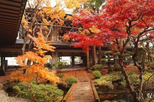 Read more about the article HAKODATE Uminokaze｜Stay like a villa in a hot spring hotel boasting seafood cuisine