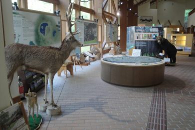 kawayu-visiter-center.jpg