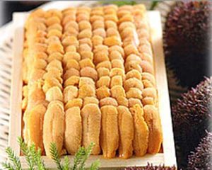 Sea urchin