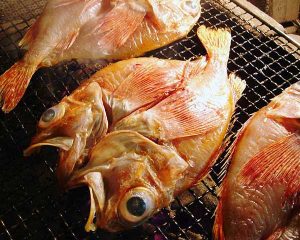 Kichiji rockfish